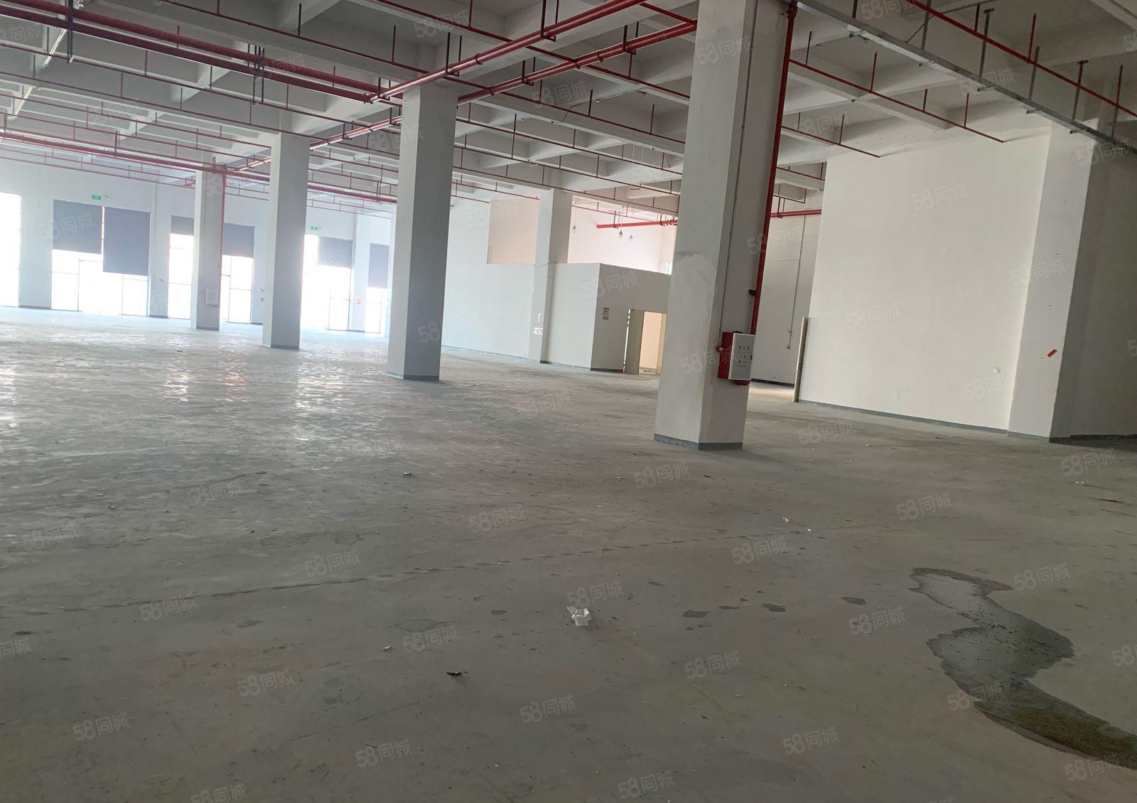 常平1500平标准厂房大小可分租