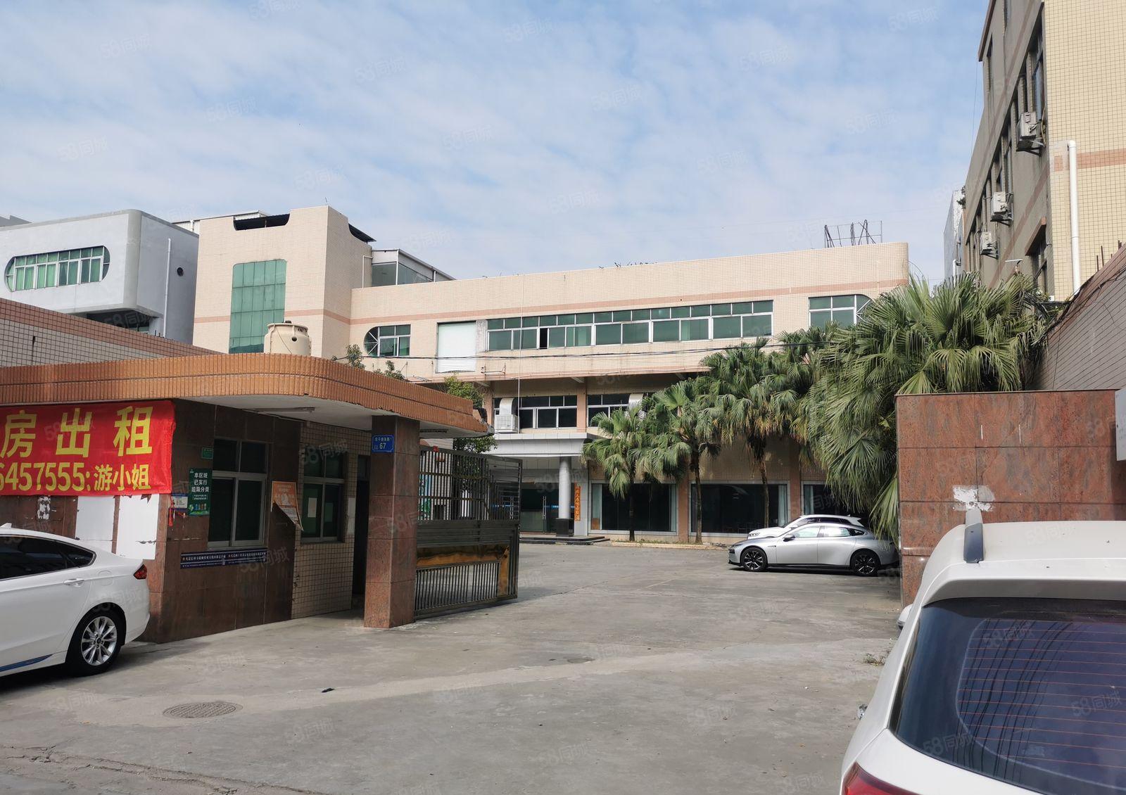 常平镇新出独院标准厂房出租豪华装修带展厅水电齐全易招工