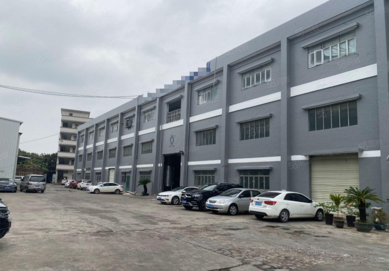 常平靠大朗独院厂房12楼7000平方，首层8米，带牛角