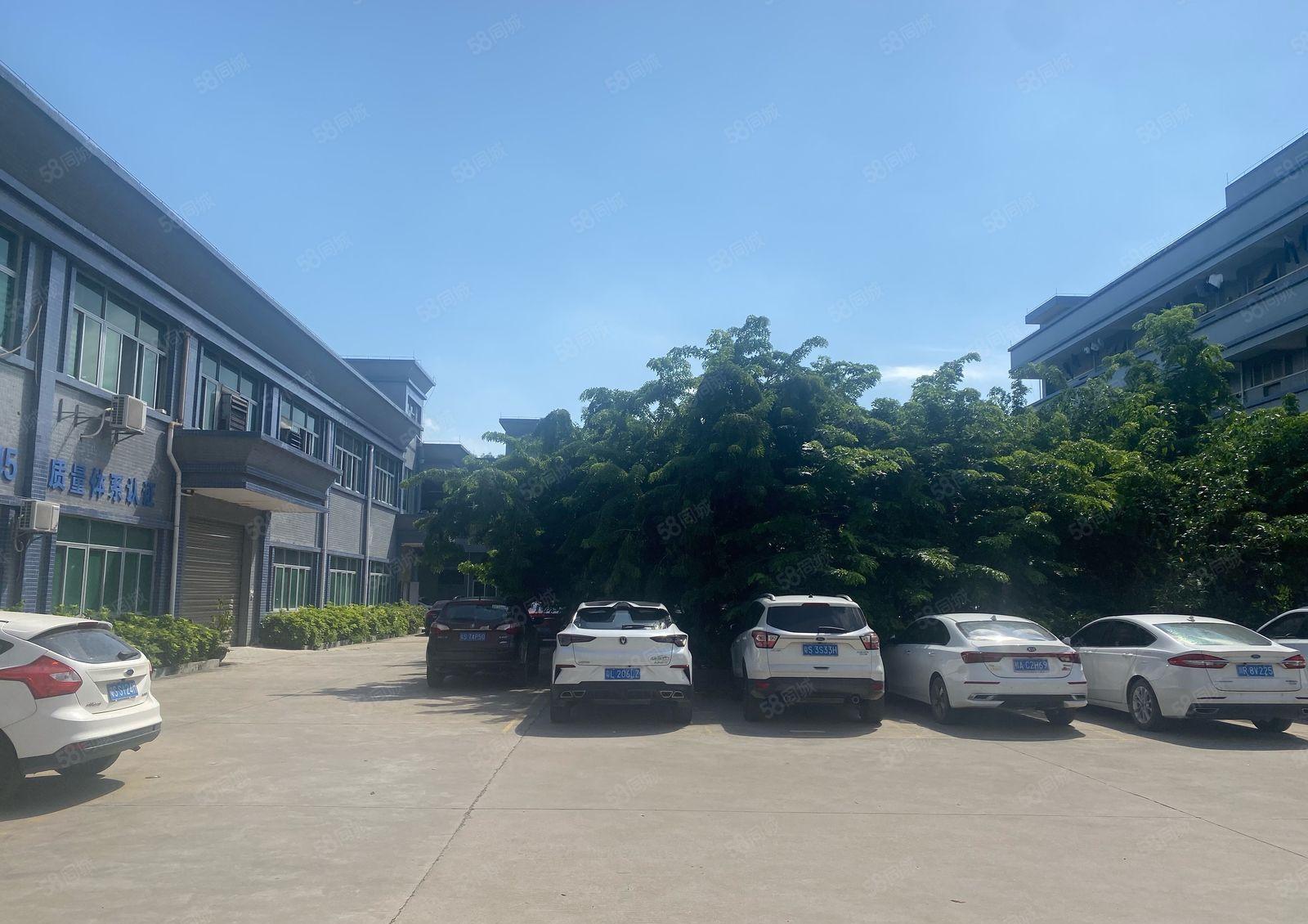 常平两层楼房独院8000平方，空地大，工业用地