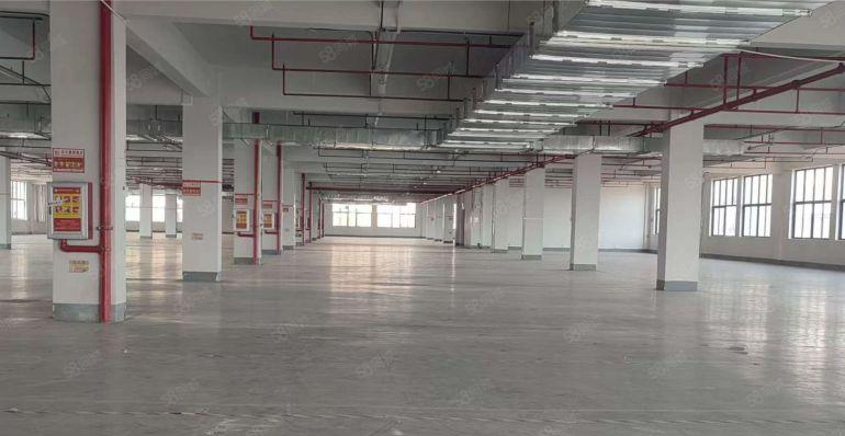 9元价格可谈原房东常平桥头1000平带精装修厂房仓库 可分租