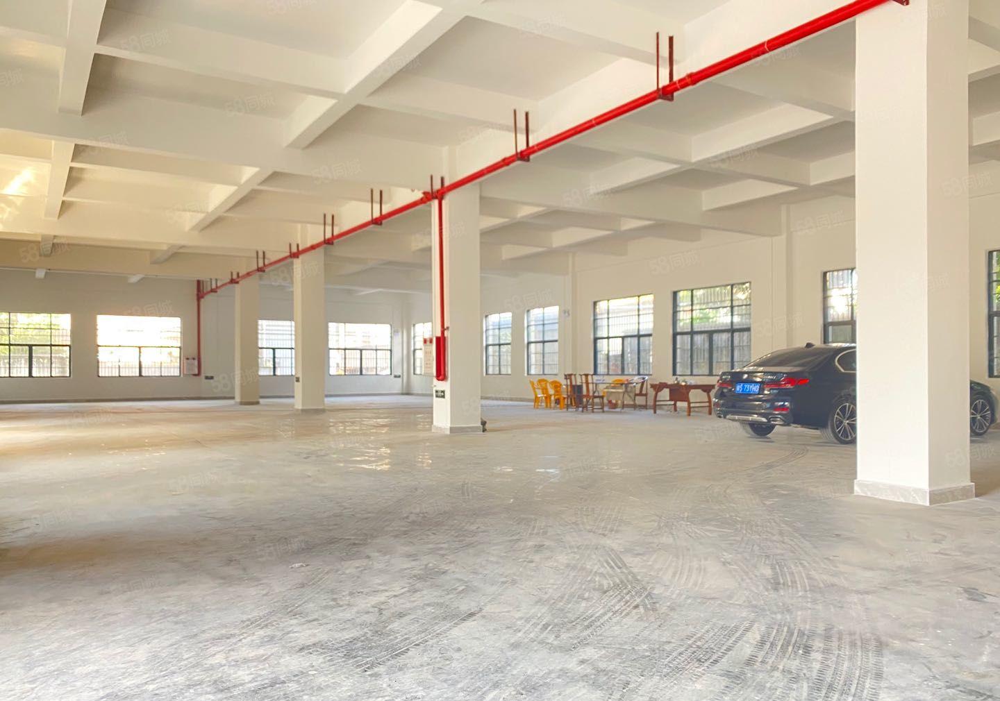 常平全新标准独院一楼6米高租金优惠5600平方可分租