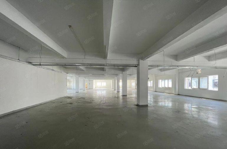 常平镇原房东新空出楼上一层1300平，带精装修办公室地坪漆