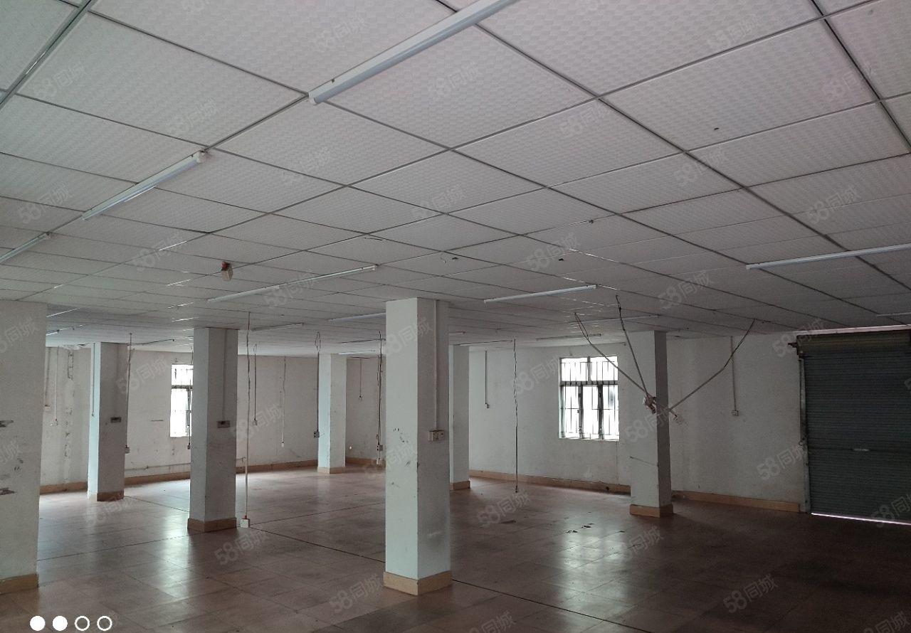 整栋厂房出租  停车位充足 5层 常平厂房出租 东莞厂房出租