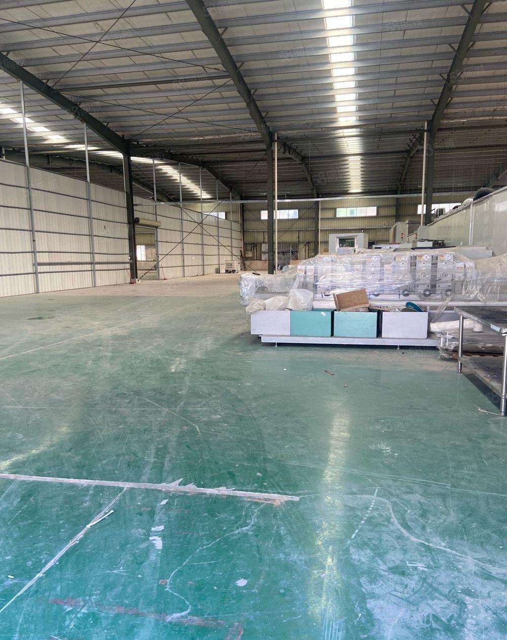 独院单层厂房.滴水8米4800平方.水电线路齐全.可办环评