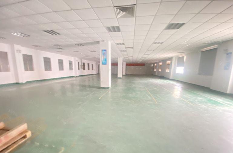 常平  原房东  独院   适合电子五金模具注塑模切硅胶等等