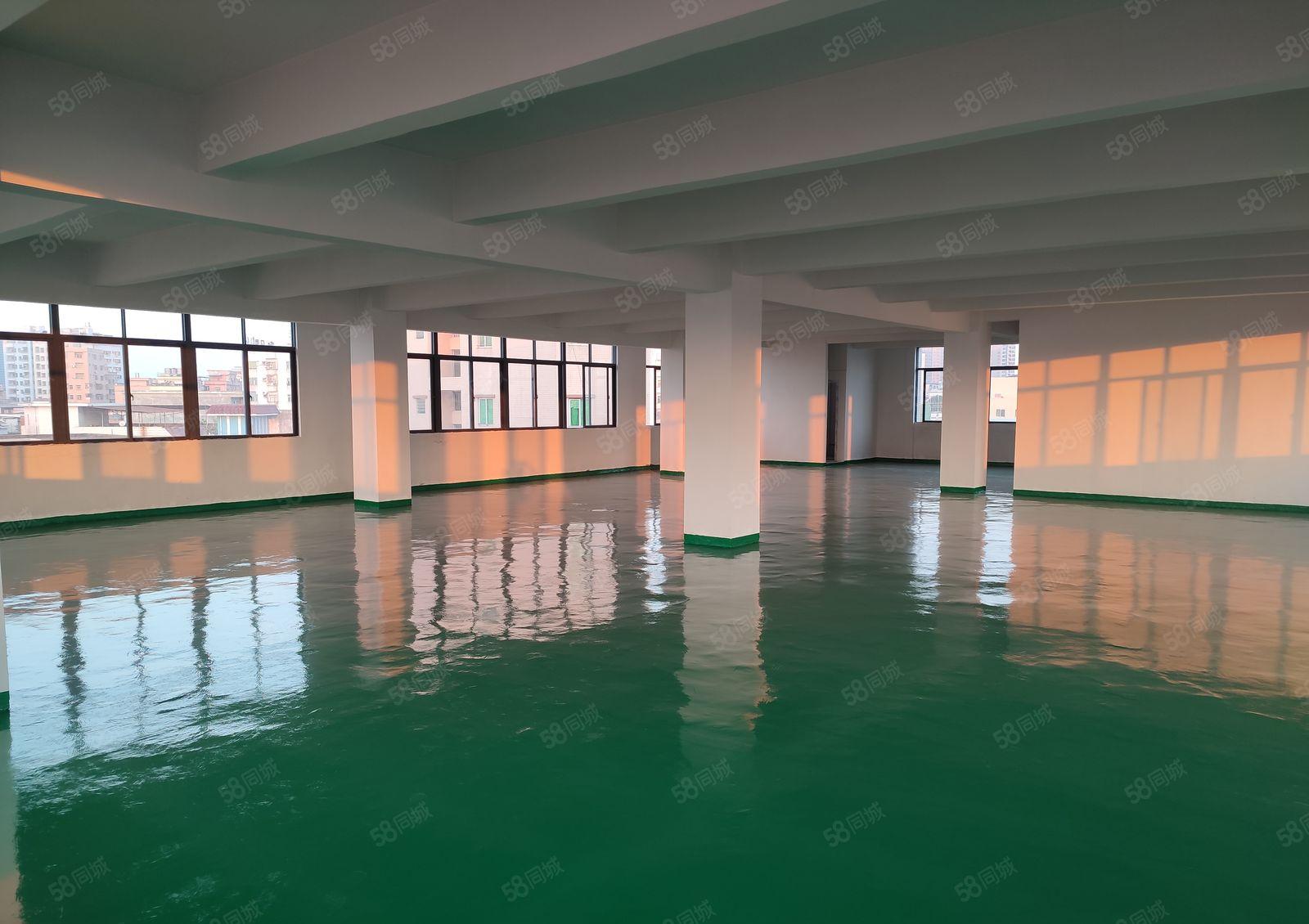 厂房出租 13.5元  整层分租 可租整栋 带地坪漆 形象好