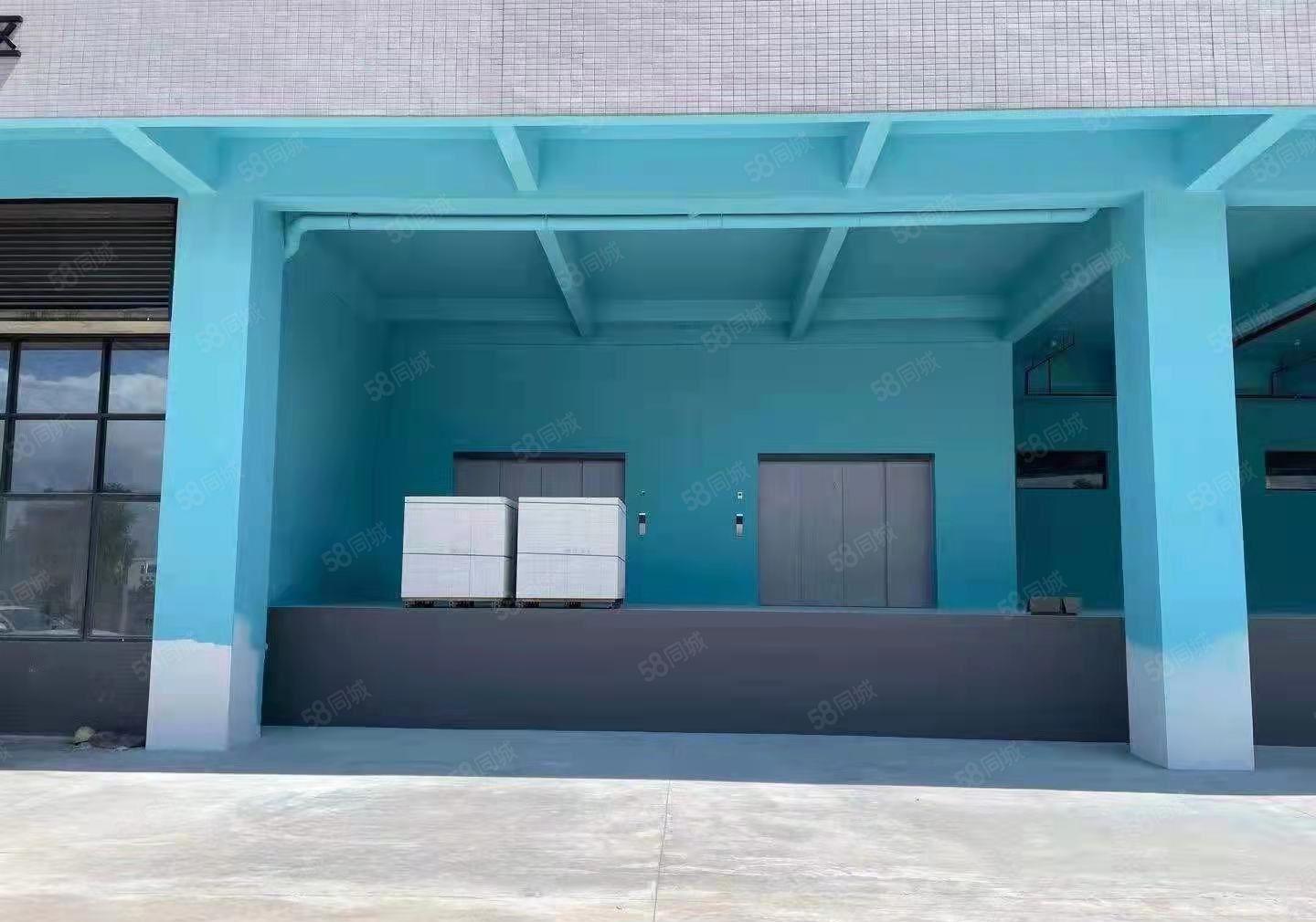 常平全新标准厂房20500平方出租，可分租