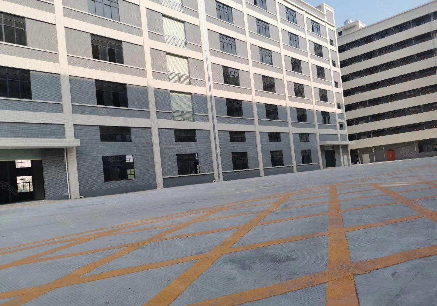 水口大工业区一楼1000方