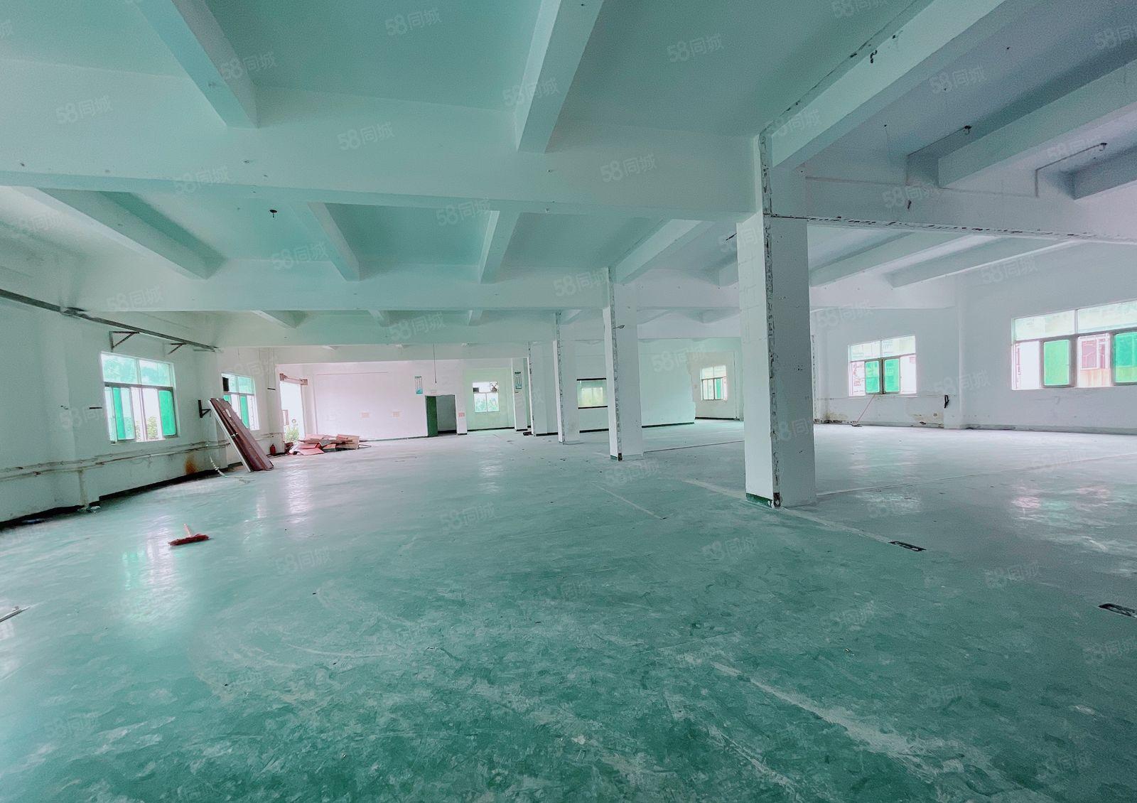 常平工业园二楼800平厂房出租精装修办公室可100平分租，