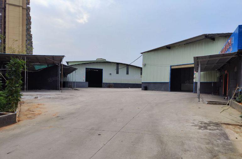 常平松柏塘新出钢结构独门独院有办公室宿舍超大空地可进大车