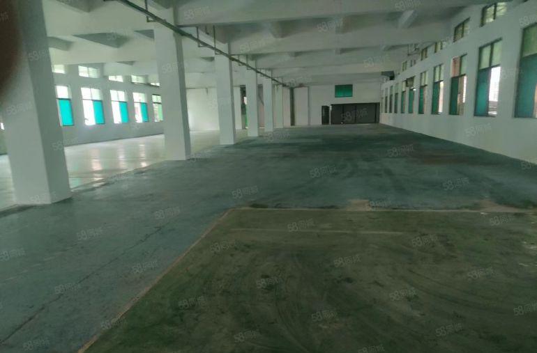 房东个人厂房一楼1200平方5.5米高租金18元厂房形象好