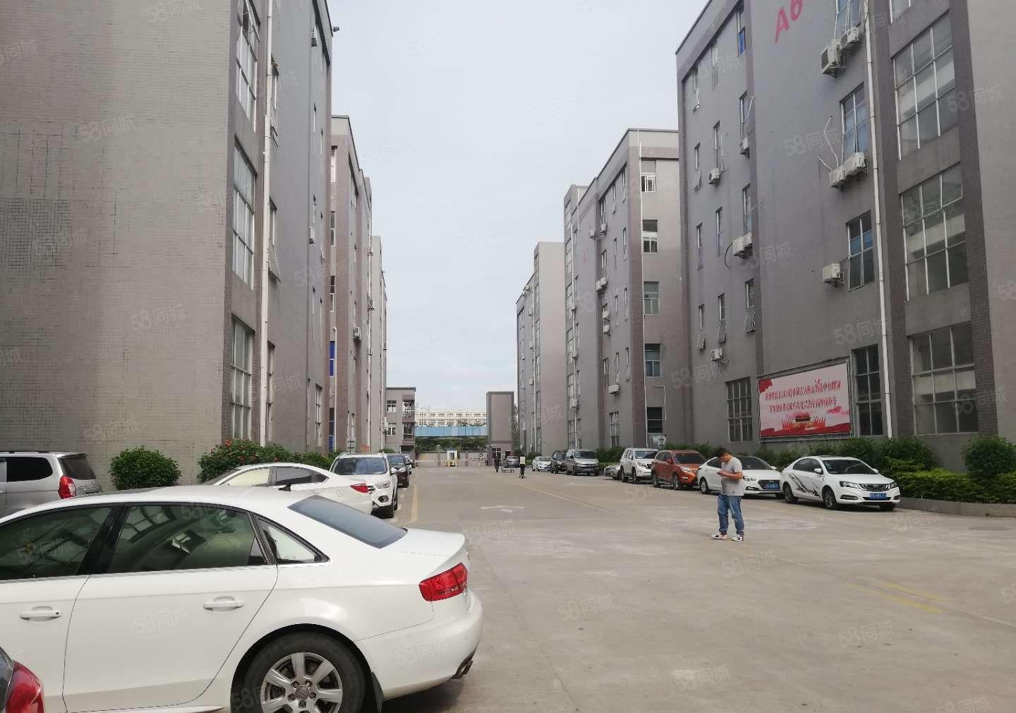 常平袁山贝新出工业园一楼1500平方7高厂房招租带牛角形象好