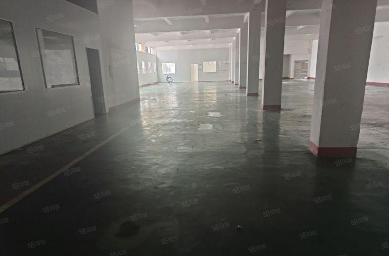 常平标准厂房一楼600平方！形象好，空地大！