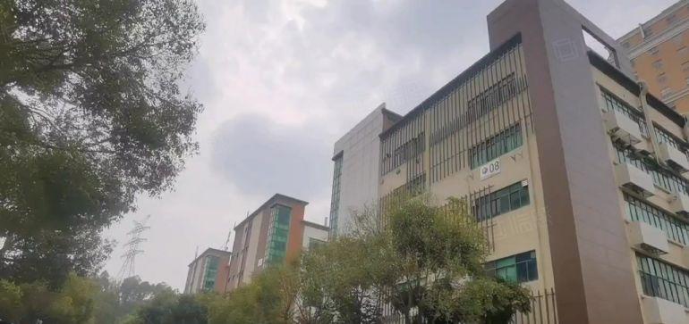 常平工业园一楼1000平米  二楼3000平米 大小面积分租