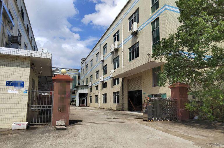 常平新出原房东独院5000平厂房出租园区空地大可办环评