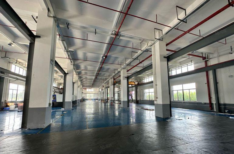 常平全新独院厂房10000平方，首层7米，水电办公室装修齐全