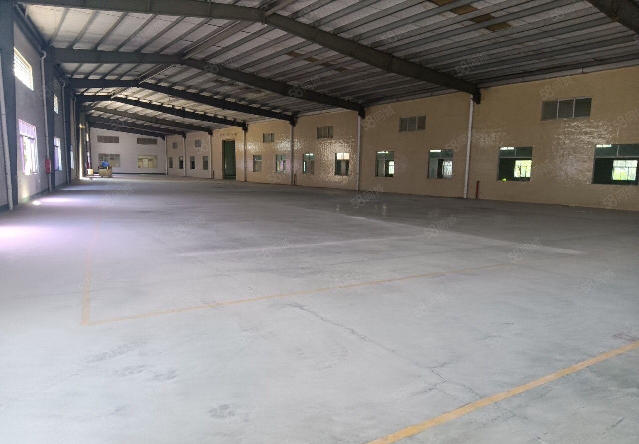 常平司马独门独院钢构厂房出租