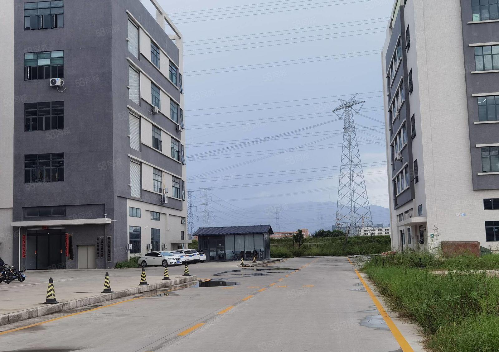 低价租常平常黄新出原房东标准一楼1800平6米高带牛角大小分