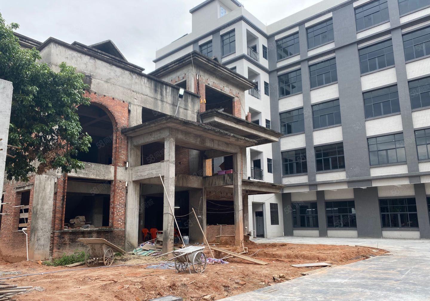 常平全新标准独院一楼6米高租金优惠5600平方可分租