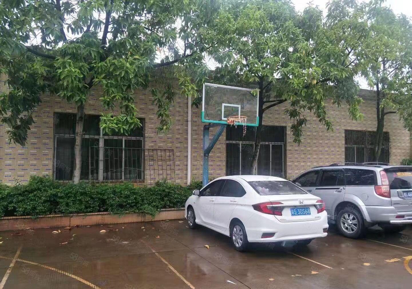 独院单层厂房800平方，上有隔热层滴水7米，水电线路齐全