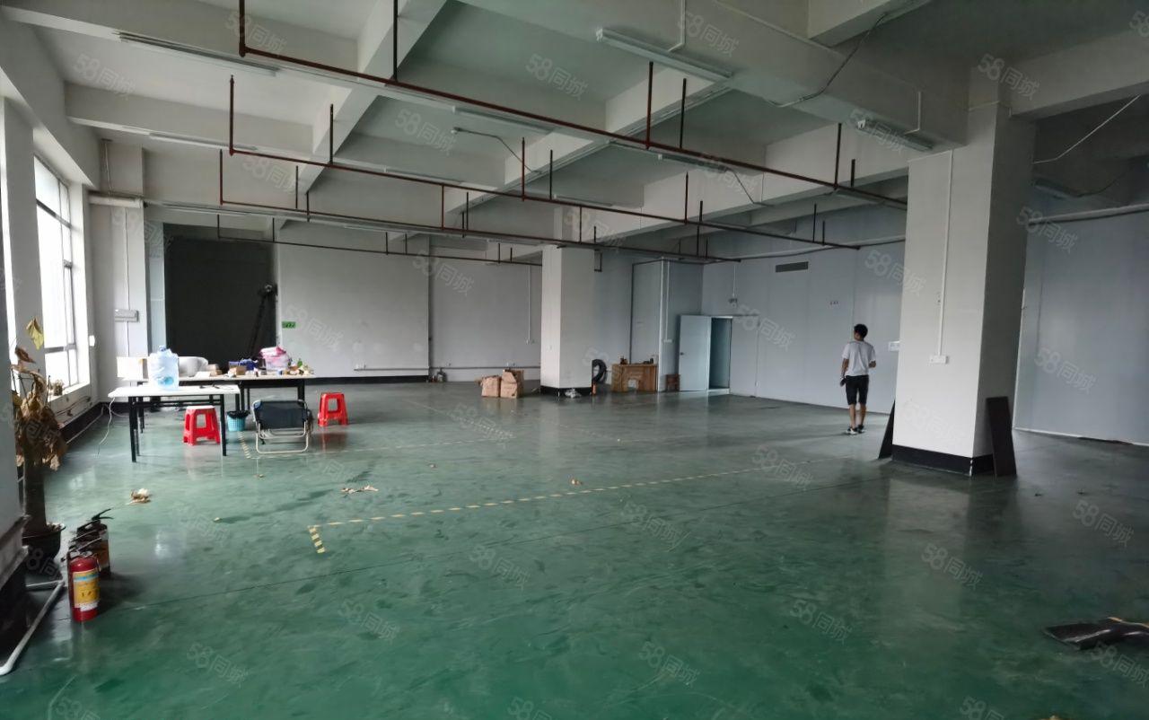 常平镇新空出楼上厂房 带现成装修 园区停车位充足 周边好招工