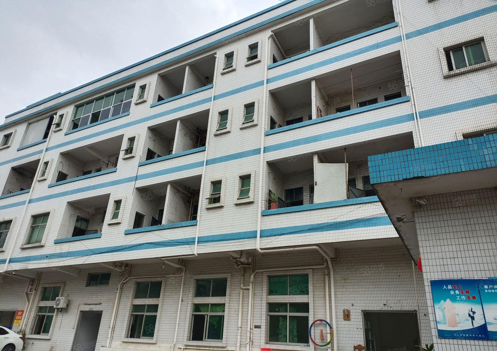 东莞周边花园厂房直租独门独户