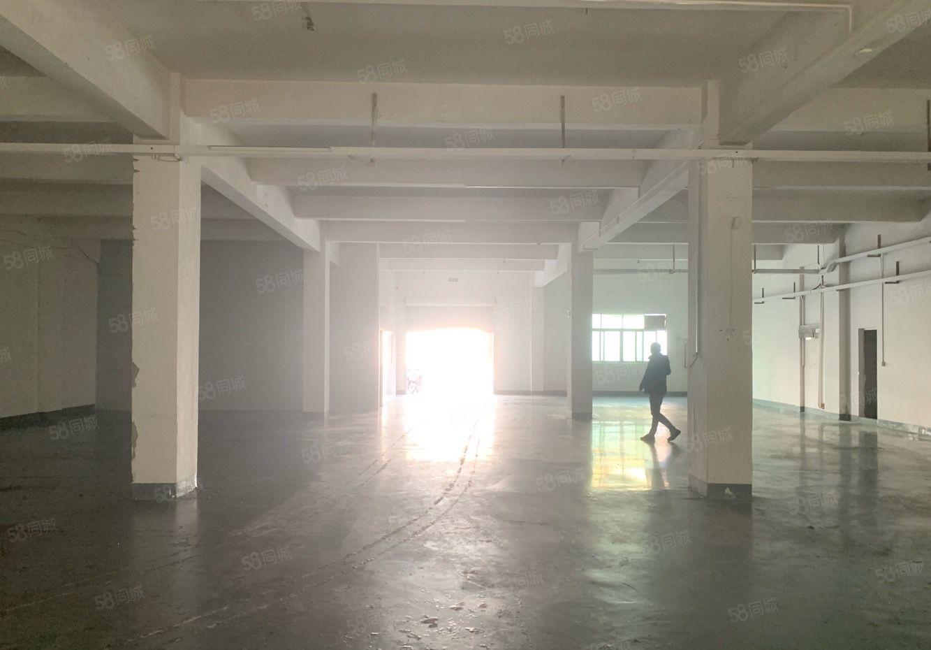 常平新出标准一楼780平 现成装修办公室 主线到车间工业用地