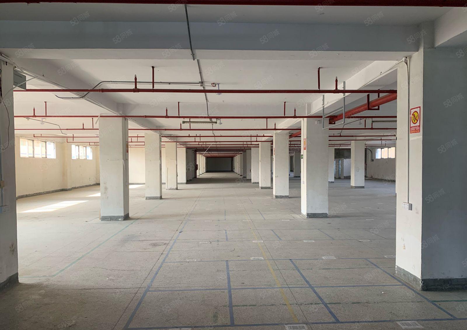 常平标准厂房500平出租