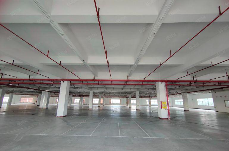 常平镇原房东标准二楼4500平方厂房出租，形象超好，价格便宜