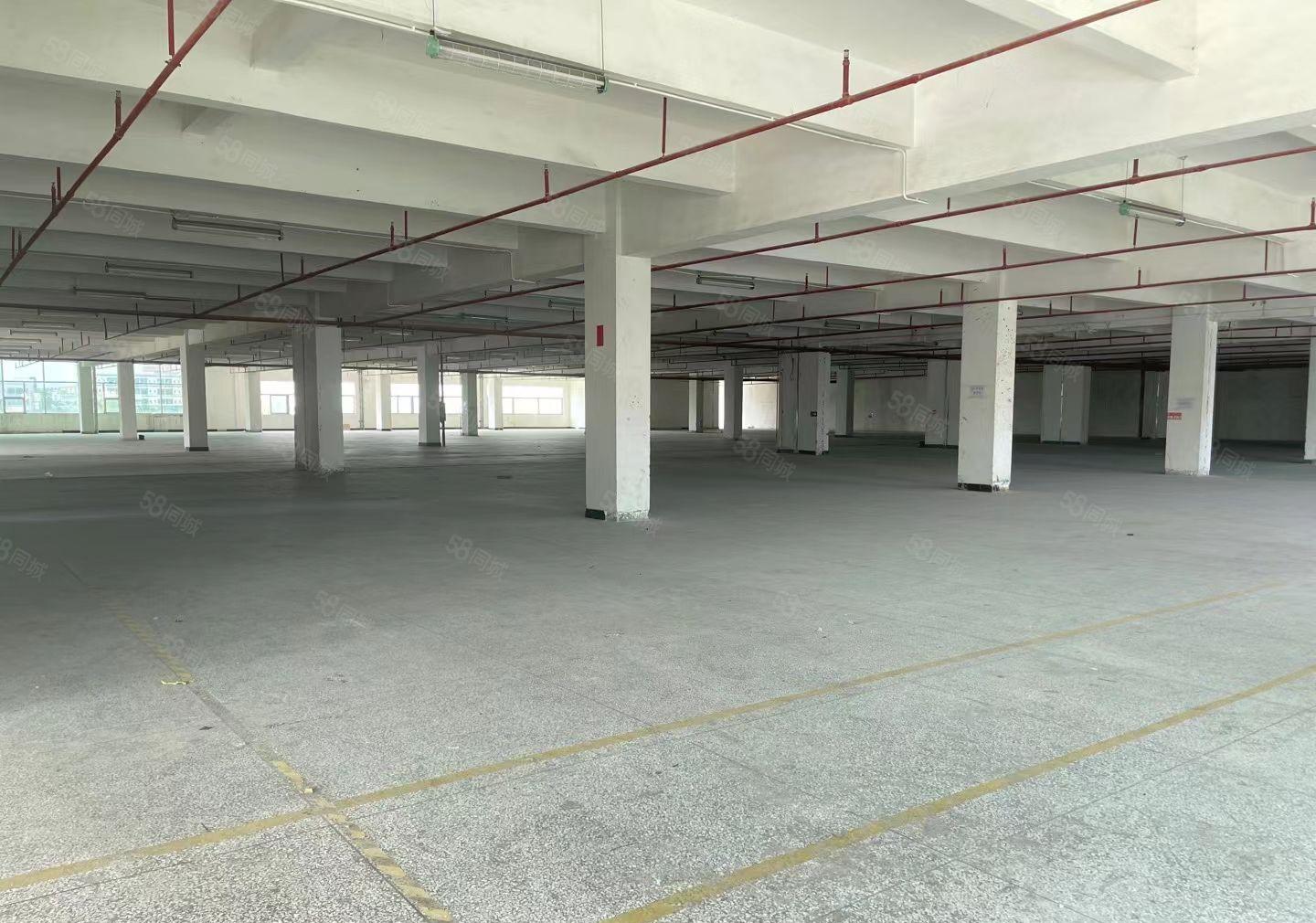 常平镇花园式空地超大带卸货平台厂房，分租楼上5200平