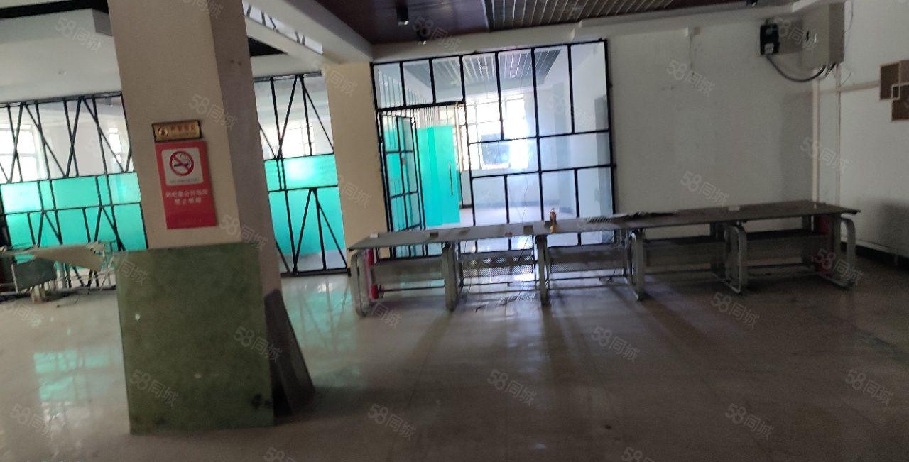 元江元厂房出租 全新厂房 整层出租 可进大货车