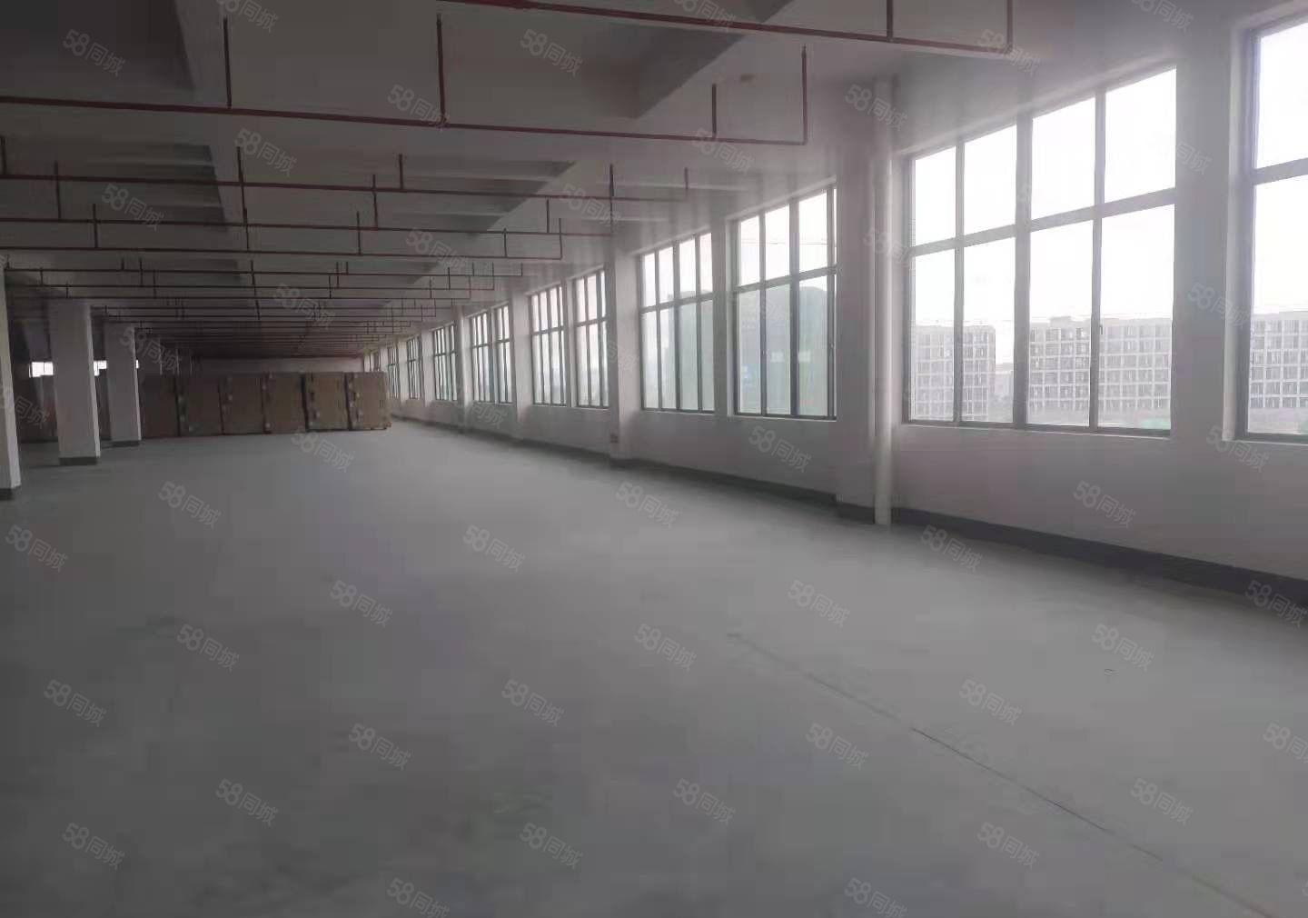 常平新建1000平标准厂房低价出租