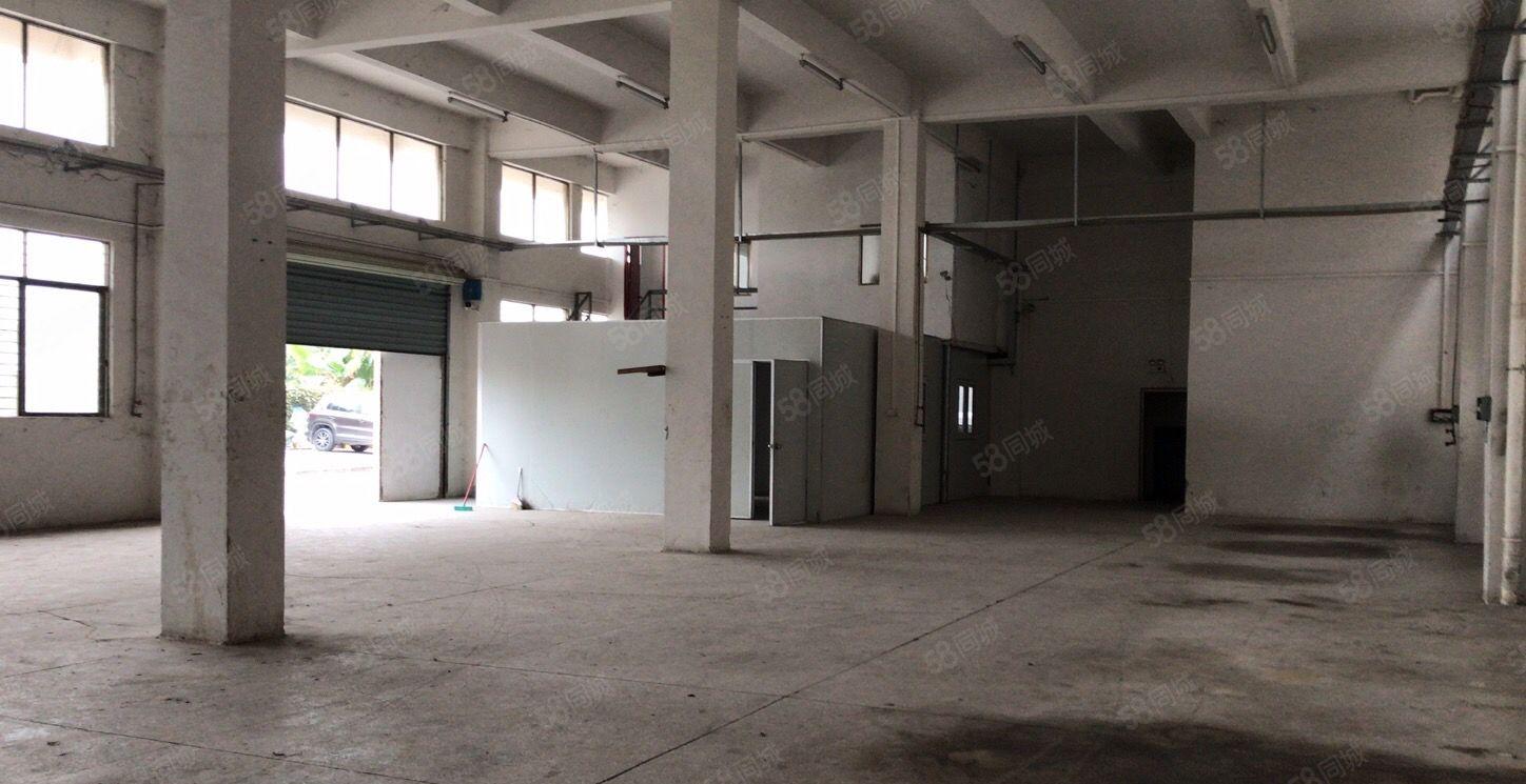 常平新出一楼700平高6米厂房工业用地