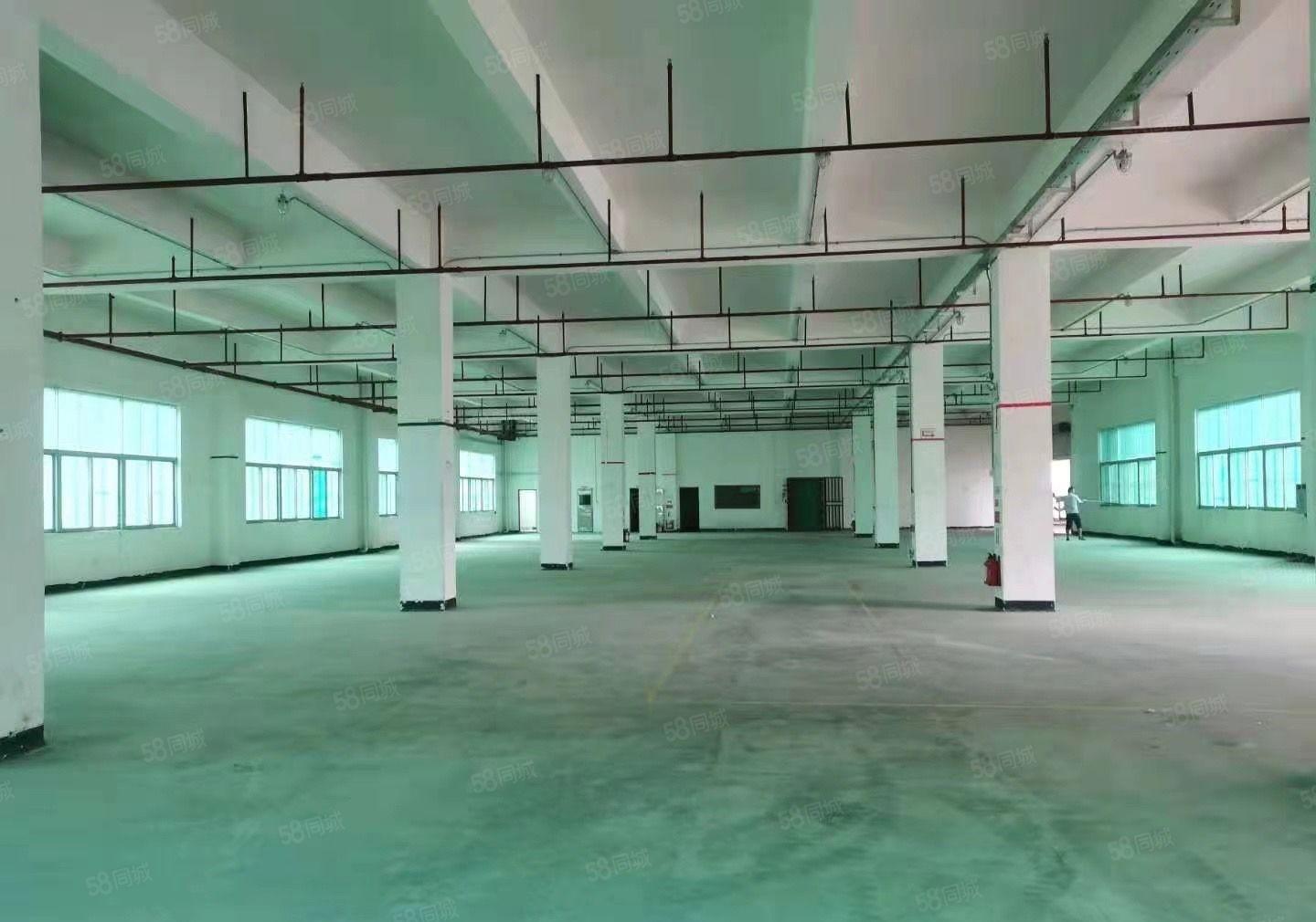 常平镇中心附近厂房出租面积4800平和3千平可以分租