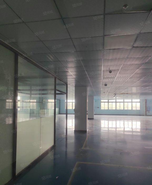 新出二楼2300平方精装修办公室水电齐全，价格优惠，无尘车间