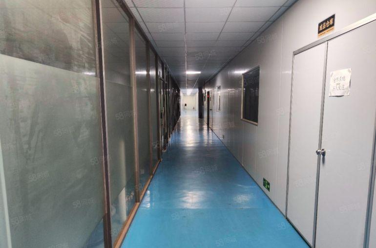 常平靠近桥头原房东12.5元标准三层独院精装修水电齐全厂房