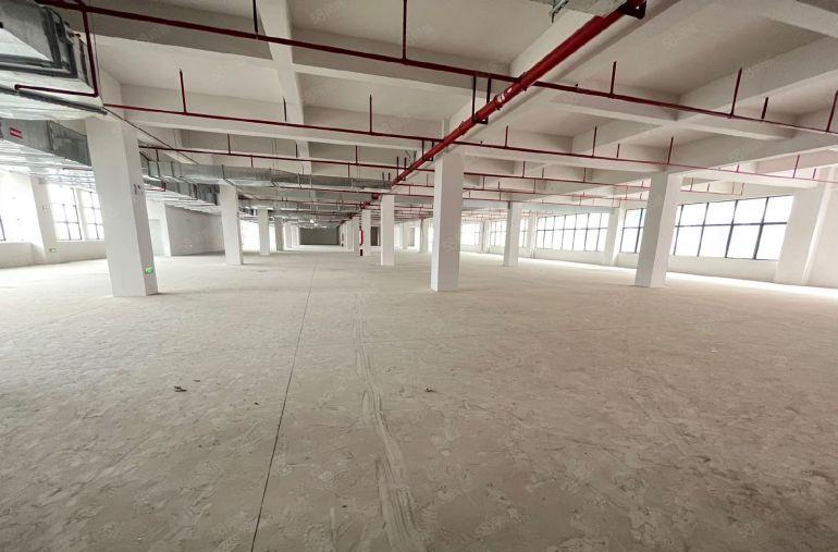 常平全新厂房招租单层面积3100和2100不等（大小可以分租