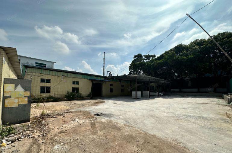 常平苏坑独院单一层1000加1000空地独院厂房出租