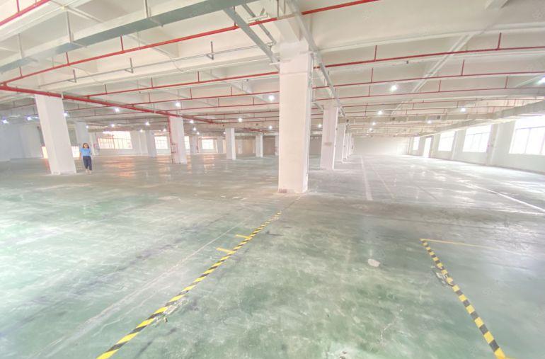 常平 原房东 全新标准一二楼  适合注塑五金模具钣金冲压压铸