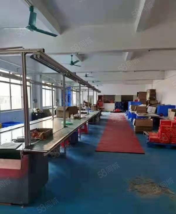 （转租5500元）常平科技园花园式三楼650平精装修无转让费