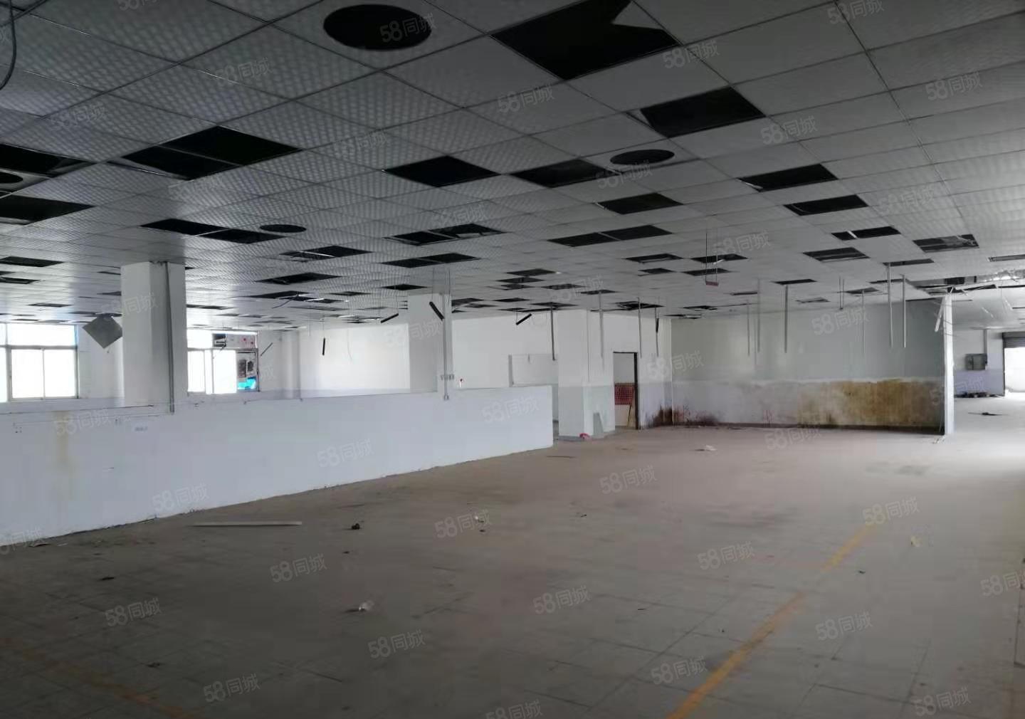 常平镇原房东标准厂房一楼5100平方，适合生产五金，注塑