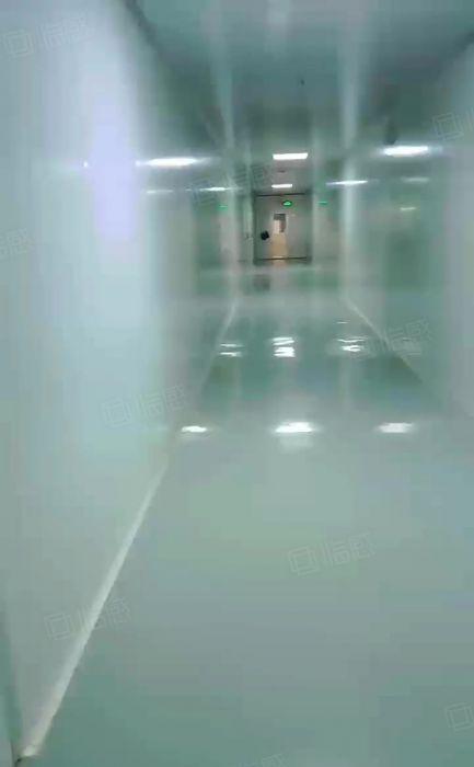 常平白石岗超低价厂房分租楼上一层带无层车间1200平方带装修