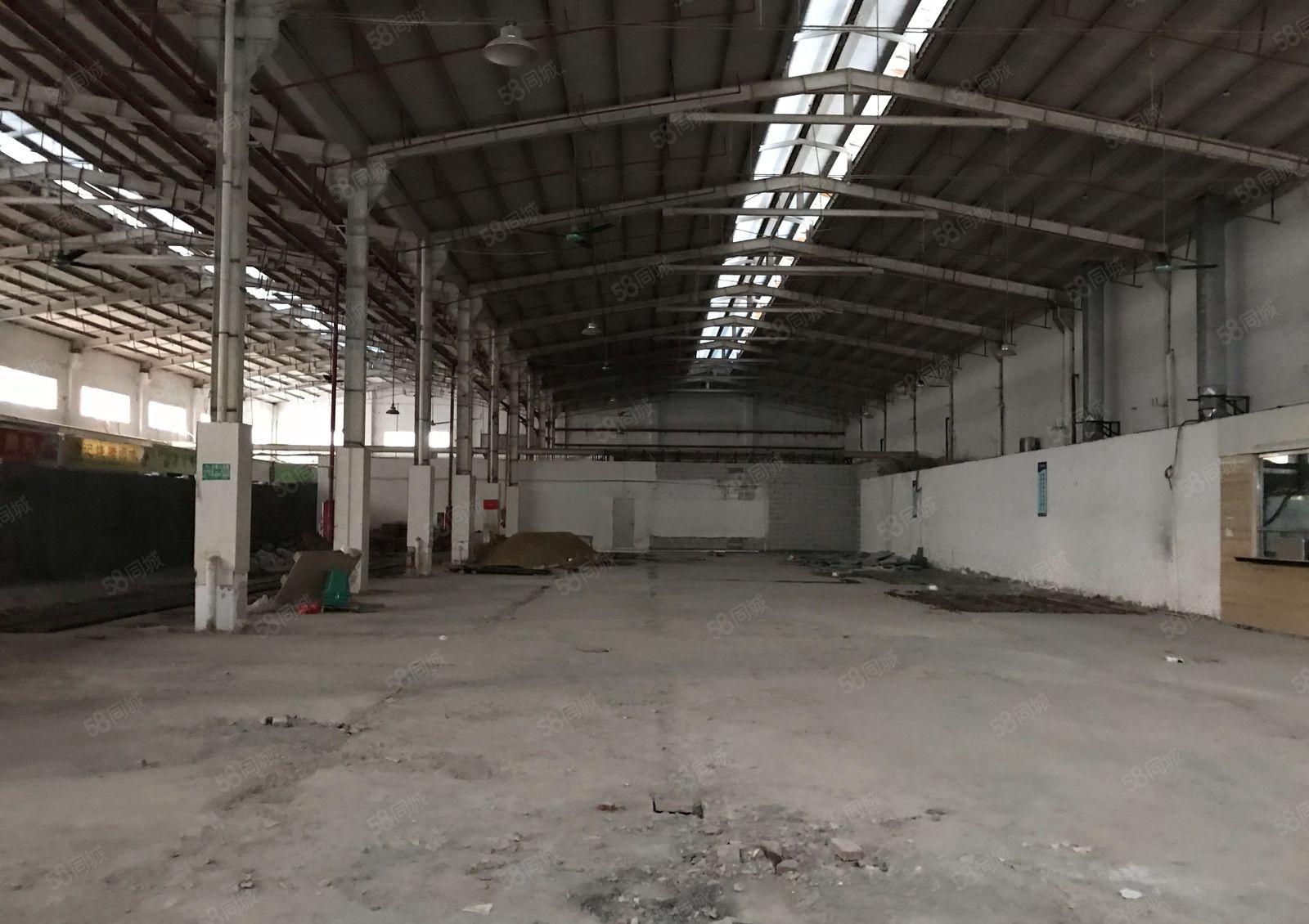 常平新出单一层钢结构厂房1680平高10米