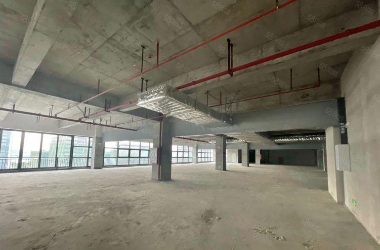 东莞雁田京东智谷 新园区500平至2千平招租 可分租价格可谈