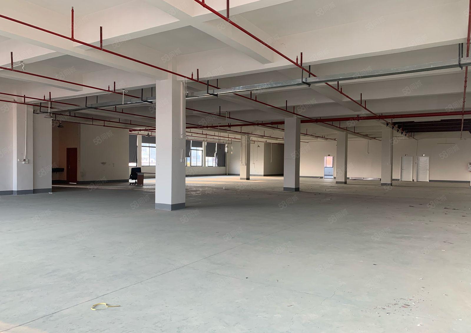 常平标准厂房500平出租