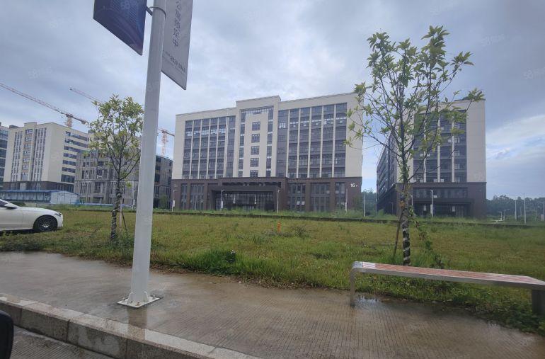 常平镇高新技术产业园出租原房东标准厂房带红本1500平方起分