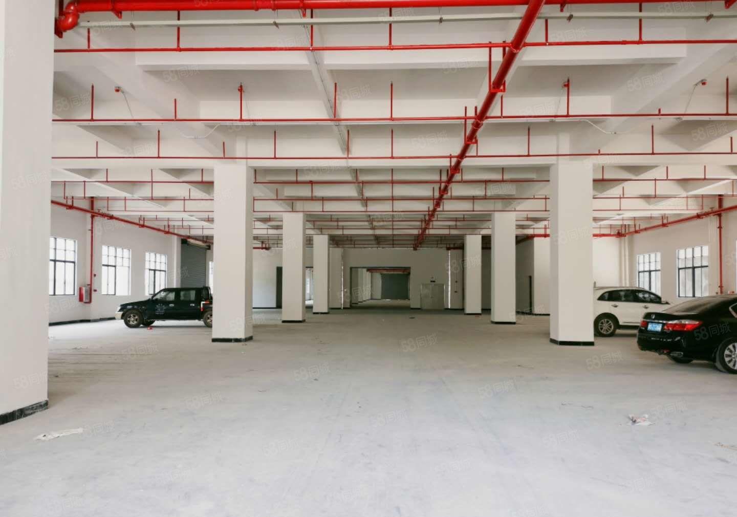 东莞厚街镇原房东独院厂房8层面积50000方水电齐全有红本