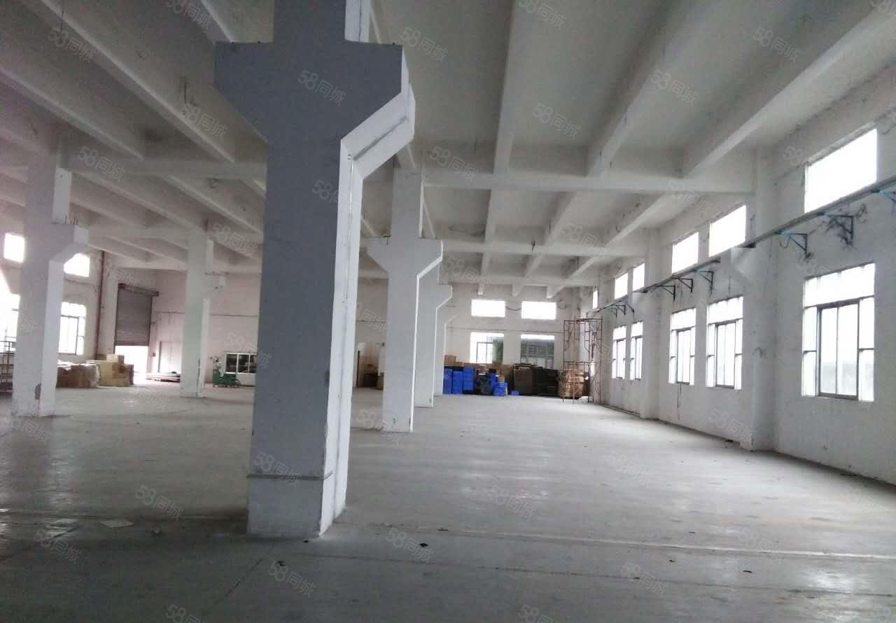 东莞常平新出独院厂房一楼600平方出租带牛角位