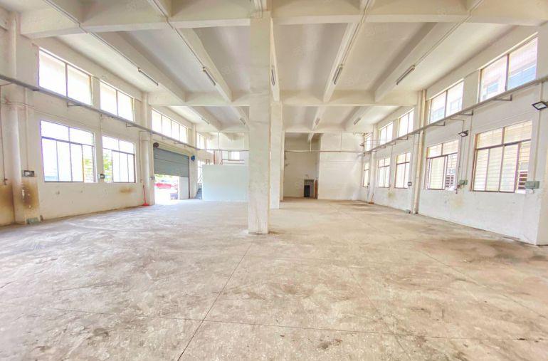 仓库出租  一楼 5.6米  适合五金加工仓储等等